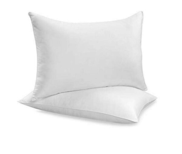FB_IMG_1725291228136 Pillow