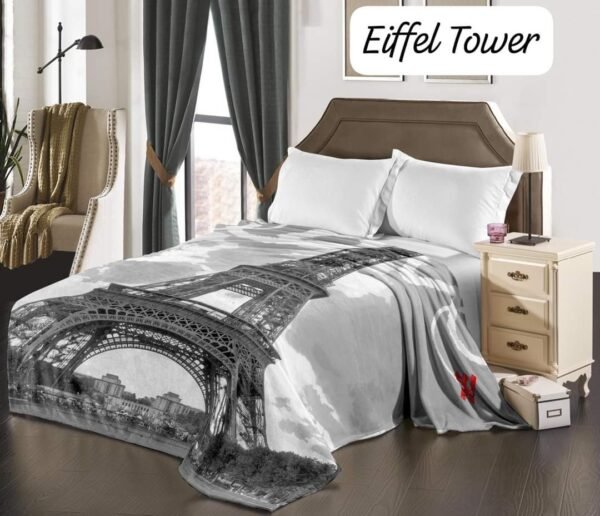 FB_IMG_1726687176314 Oversized & Reversible Blanket